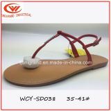 Simple Style Women Slipper Summer Fashion Sandals for Lady