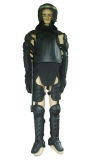 Anti Riot Suit for Police Equipment