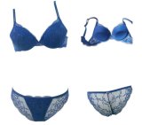 2016 New Design Lace Bra and Panty for Ladies (FPY319)