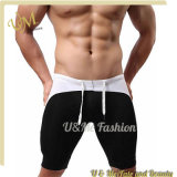 Wholesale Mens Sports Quick Dry Breathable Smooth Swimming Shorts for Men