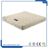 Commercial Pillow Top Double Bed Mattress with Elastic Pocket Spring Bonnell Spring