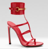 Newest Design Women Sandal (HS13-131)
