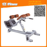 Tz-5026 Abjustable Hip Extension Commerfcial Gym Fitness Equipment / Gym Machine