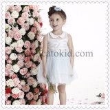 Latest Around Neck Fall Lovely Casual Design for Cute Girl Dress