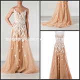 Champagne Tulle Celebrity Dresses Lace Party Prom Evening Gowns Ld11542