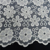 Voile Cotton Sclloped Lace Fabric (L5117)