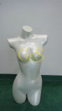 Fiberglass Female Bust FRP Underwear Torso Mannequins (GS-GY-013)