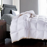 Quilted Comforter with Corner Tabs for High Standard Hotel /Home (DPF1705)