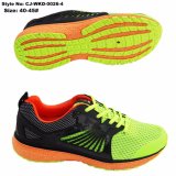 Sport Shoes New Style Breathable and Durable Sports Running Shoes