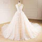 Champagne Tulle Flower Princess Wedding Dress Bridal Gown