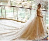 2017 Crystal Beaded Embroidered Lace Bridal Wedding Dresses PLD3201