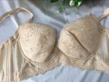 Newest Style Bra and Panty Set Lady Sexy Lingerie