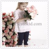 Lovely Baby Toddler Little Girl Clothes Clothing Set
