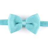Solid Light Blue Men's Fashionable Plain Knitted Bow Tie (YWZJ 12)