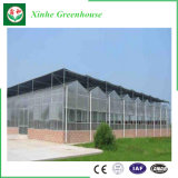 Agriculture Multi Span PC Sheet Green House/Grow Tent for Sale