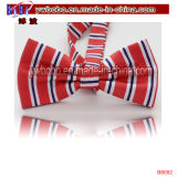 Birthday Party Gifts Woven Tie Knitted Bowtie (B8092)