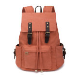 Customized New Design Fashion Outdoor Sport Traveling Backpack for Hiking Camping Traveling