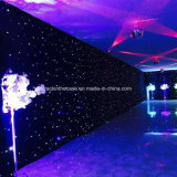 Event Backdrop LED Star Light Curtain Dance Stage Decoration