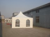 5m Spring Top Tent for Beach Tent or Family Vacation Tent