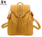 Fashionable Designer Handbags Backpack Bags Women Backpack on Sale