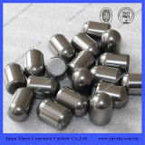 Raw Material Hip Yg6/K10 Od16*21mm Tungsten Carbide Button