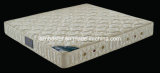 Bed Mattress, Foam Mattress (B216)