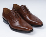Brown Genuine Leather Mens Business Shoes (NX 417)