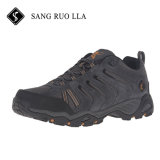 2017 Most Popular New Style Professional Walking Sport Hiking Shoes