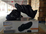 Stock Bicycle Shoes, Bike Shoes, Cycling Shoes