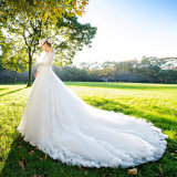 Wholesale Cheap High Quality Big Train Bridal Wedding Dress