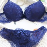 Hot Fashion Sexy Lingeries Bra and Panty (FPY319)