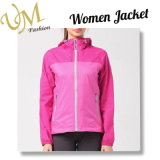 Women Sportwear Outer Wear Softshell Jacket