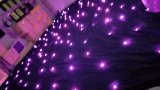 LED Star Curtain with Red/Green/Yellow/Blue/White/Purple Color