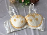 Best Offer Sexy Bra and Panty Ladies Lingerie
