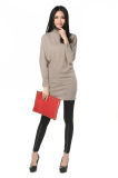 Ladies Fashion Turtleneck Pullover (2836-2013001)