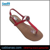 Nice Adjustable Buckle Thong Sandals Outdoor for Womens