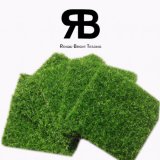 Landscape Synthetic Artificial Grass Carpet Home Decoration