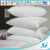 Baffle Box Duck Down Quilts Pillows/Down Pillow/Wholesale Decorative Pillow