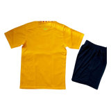2015 Original Design Copy Yellow Soccer Jersey