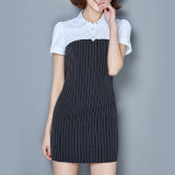 China Apparel Career Dress Office Dress New Fashion Ladies Dress