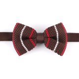 Men's Fashionable 100% Polyester Knitted Bow Tie (YWZJ95)