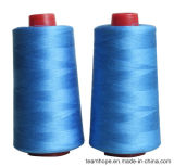Polyester Wrapped Polyester Core Spun Sewing Thread (2006)