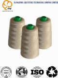 High-Tenacity 100% Polyester Thread for Clothes Embroidery Sewing Thread