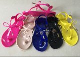 Colorful Lady Plastic Sandal of 2018 Summer