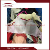 Professional Supply of Used Clothing for Export to Philippines