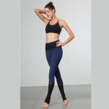 Spandex Yoga Pants Gym Wear Supplier