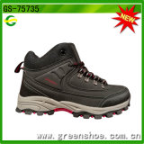 New Model Hot Selling Hiking Boot