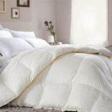 Comforter/Quilt 1.5kg with Good Quality 50%Cotton 50%Polyester