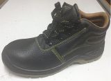 PU Sole Industry Safety Shoe Dh20