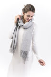 Brcwa-100% Cashmere Ladies Scarf in Solid Color